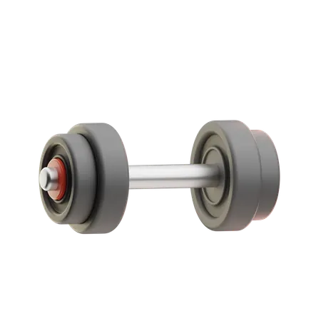 Haltere  3D Icon