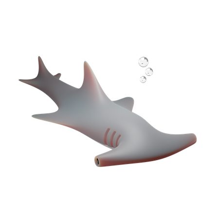 Hammerhead Shark 3D Illustration