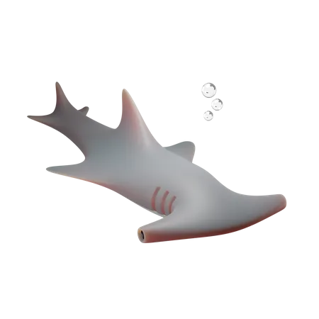 Hammerhead Shark 3D Illustration