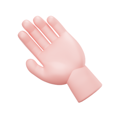 Hand  3D Icon