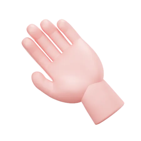 Hand  3D Icon