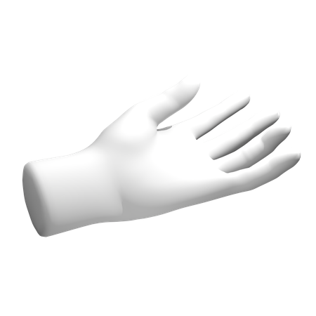 Hand  3D Icon