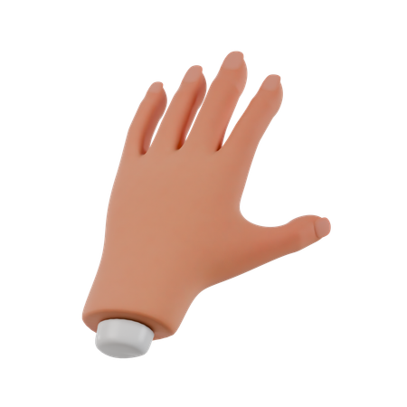 Hand  3D Icon