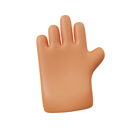 Hand  3D Icon