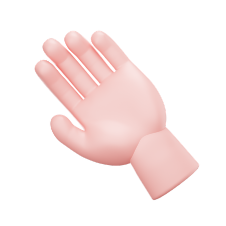 Hand  3D Icon