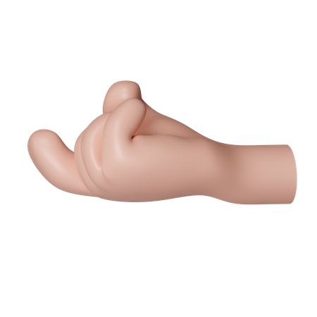 Hand Gesture  3D Icon