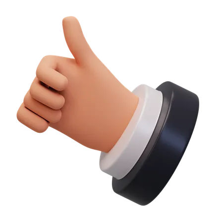 Hand Gesture Numb 5  3D Icon