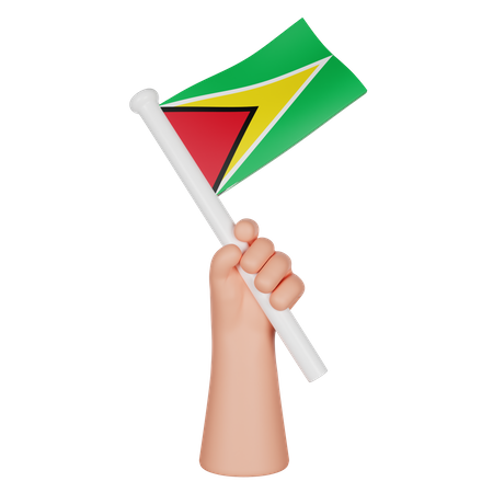 Hand hält eine Flagge von Guyana  3D Icon