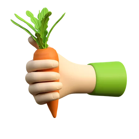 Hand Holding Carrot  3D Icon
