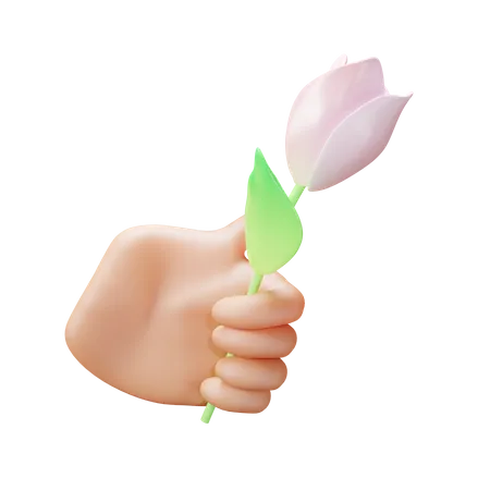 Hand holding flower  3D Icon