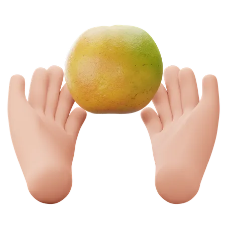 Hand Holding Fruit  3D Icon