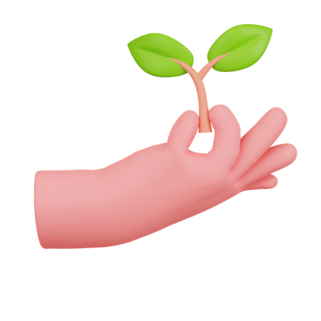 Hand Holding Green Plant With Leaves  3D Icon