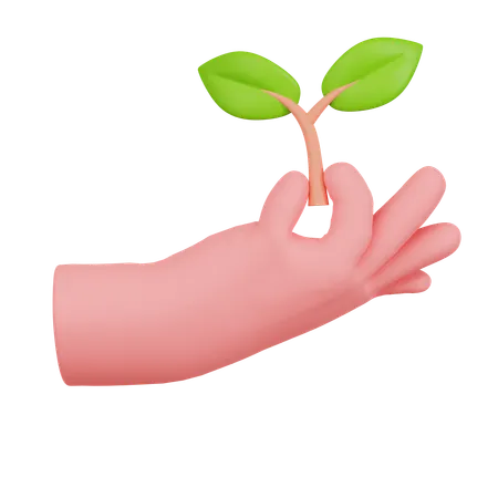 Hand Holding Green Plant With Leaves  3D Icon