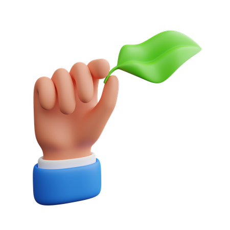 Hand Holding Leaves  3D Icon