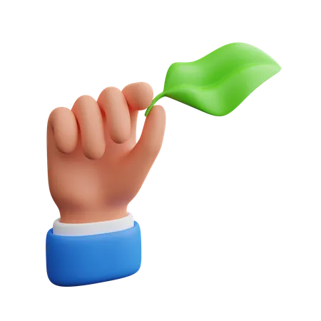 Hand Holding Leaves  3D Icon