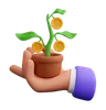 Hand Holding Money Plant