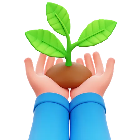 Hand Holding Plant  3D Icon
