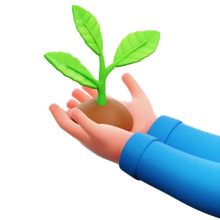 Hand Holding Plant  3D Icon