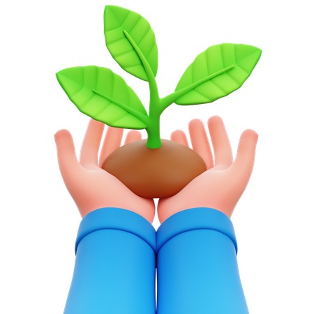 Hand Holding Plant  3D Icon