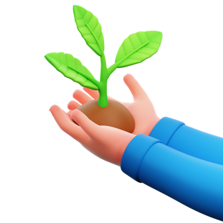 Hand Holding Plant  3D Icon