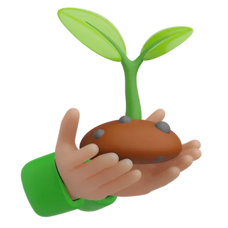 Hand Holding Sprout  3D Icon