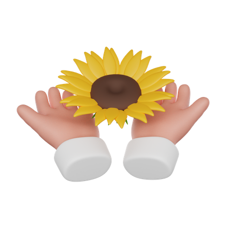 Hand Holding Sunflower  3D Icon
