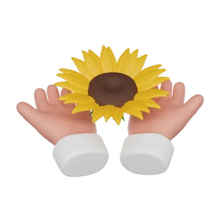 Hands Hold A Sunflower 3 D Render Icon 3D Icon