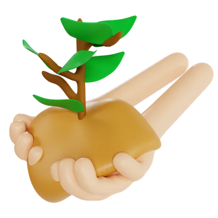 Hand Holding Tree Sapling  3D Icon