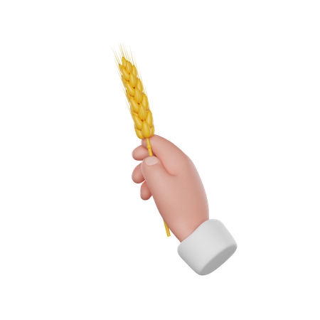 Hand Holding Wheat  3D Icon