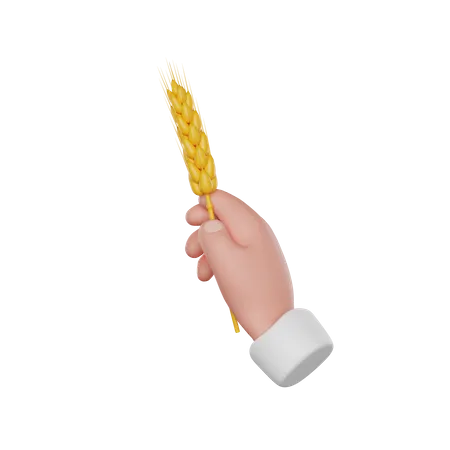 Hand Holding Wheat  3D Icon