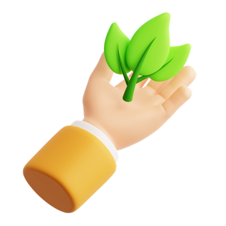 Hand Leaf  3D Icon