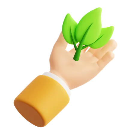 Hand Leaf  3D Icon