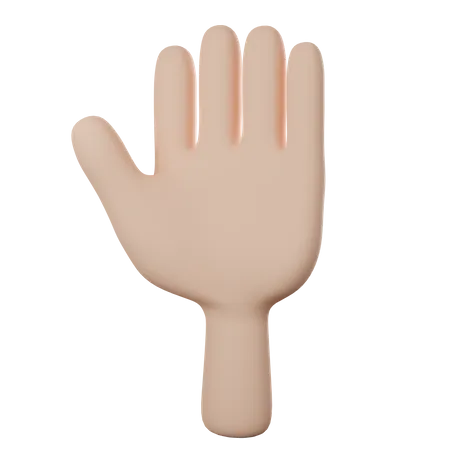 Hand With Five Fingers  3D Icon