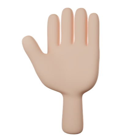 Hand With Five Fingers  3D Icon