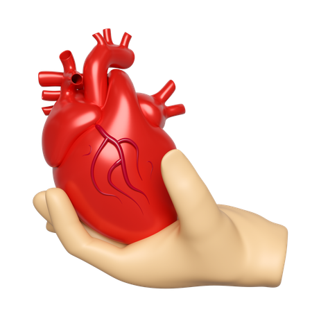 Hands Holding Heart  3D Icon