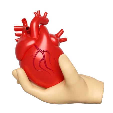 Hands Holding Heart  3D Icon