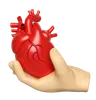 Hands Holding Heart