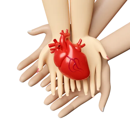 Hands Holding Heart  3D Icon