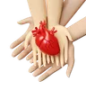 Hands Holding Heart