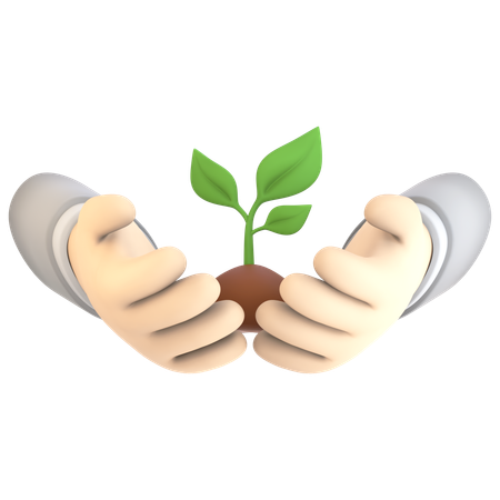 Hands Holding Plant  3D Icon