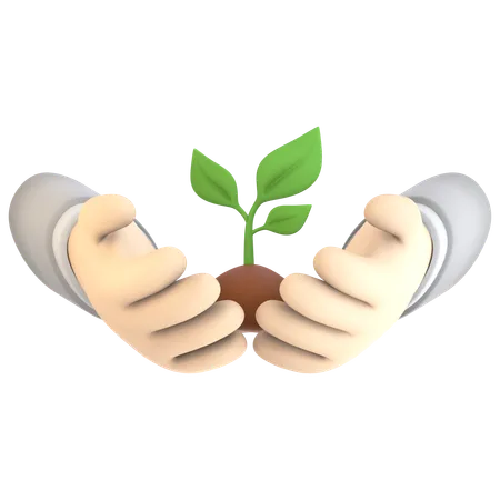 Hands Holding Plant  3D Icon