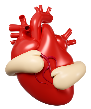 Hands Hugging Heart  3D Icon