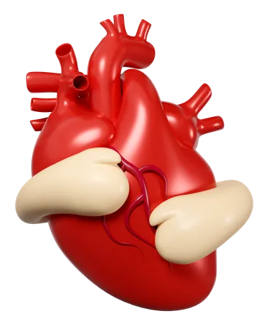 Hands Hugging Heart  3D Icon