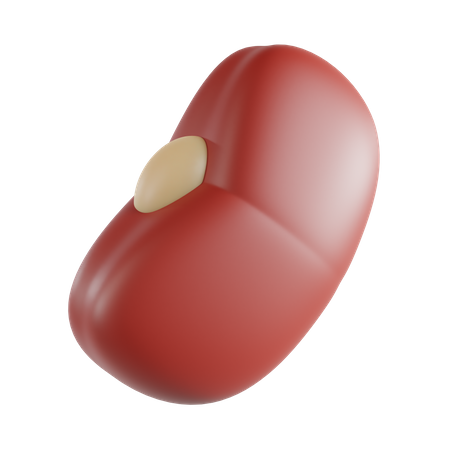 Haricot rouge  3D Icon
