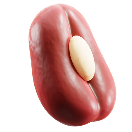 Haricot rouge  3D Icon