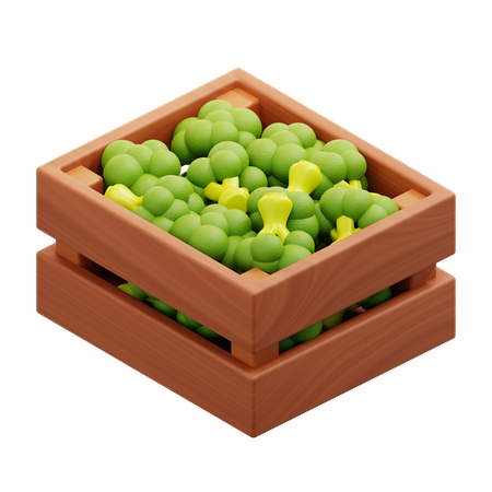 Harvest Broccoli  3D Icon