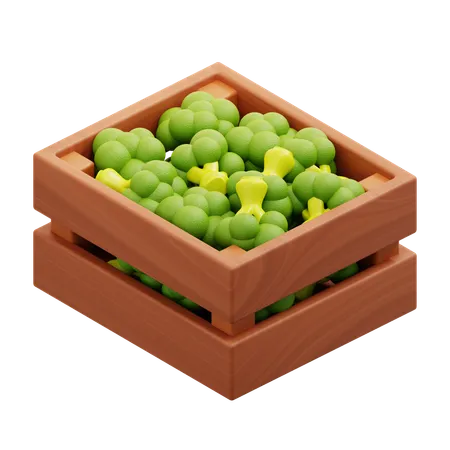 Harvest Broccoli  3D Icon