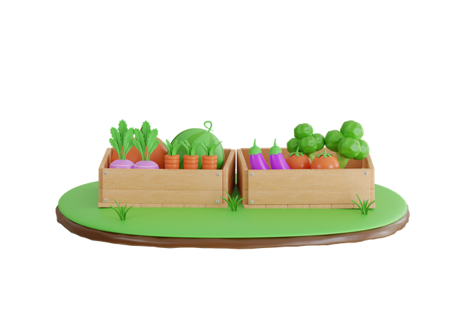 Harvest Vegetables In Box  3D Icon