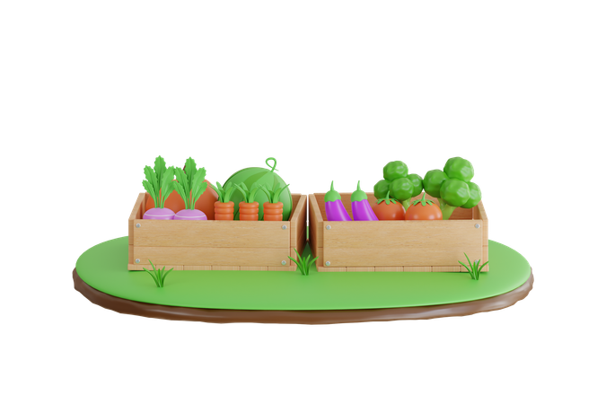 Harvest Vegetables In Box  3D Illustration