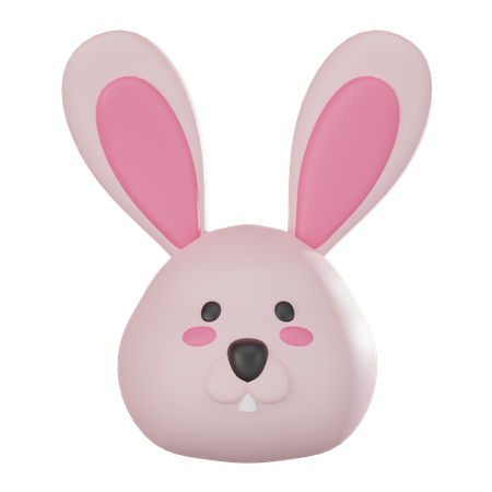 Hasengesicht  3D Icon